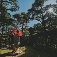 画像1504