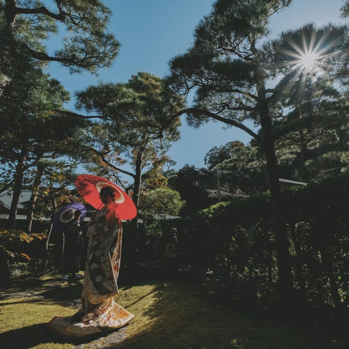 画像1504