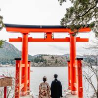 画像264