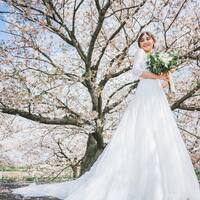 画像275