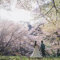 画像473
