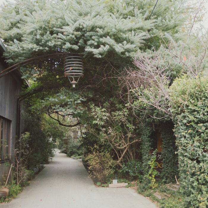 画像928